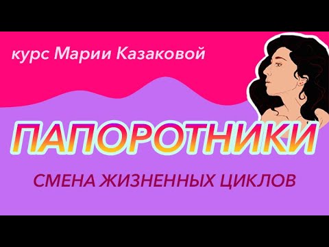 Урок "Смена жизненных циклов. Папоротники" — ЦТ, ЕГЭ, ЗНО