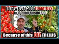 Grow Way More Tomatoes In Less Space! - Best Way to Trellis Tomatoes EVER!!!