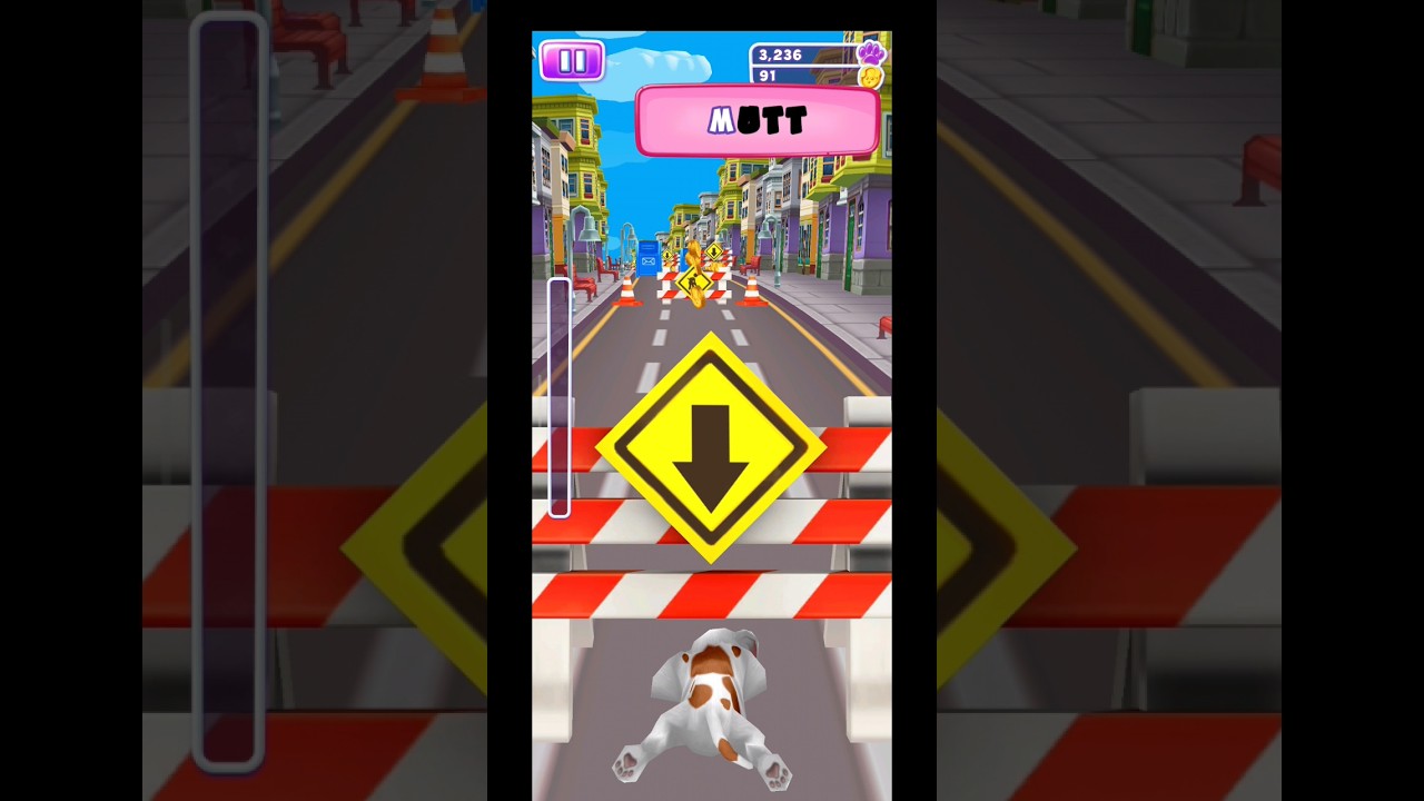 oops! dog run/puppy racing 