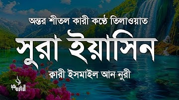 সূরা ইয়াসিন ( سورة يس) - অত্যন্ত দরদী তেলাওয়াত Surah Yasin । By Ismail An Nuri