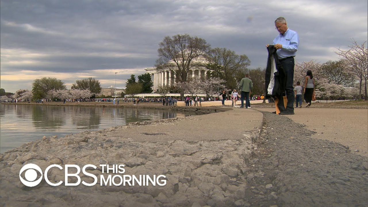 Tidal Basin faces uncertain future thanks to crowds and erosion