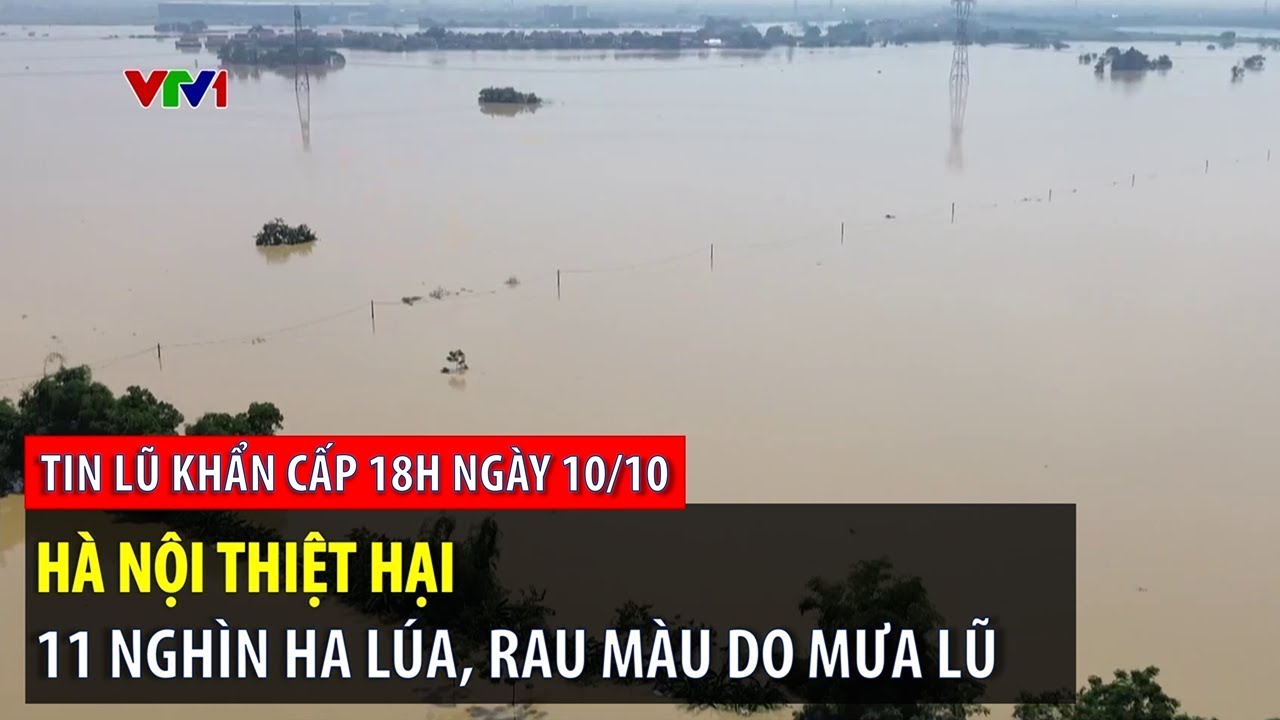 Tin lũ khẩn cấp 18h ngày 10/10: Hà Nội thiệt hại 11 nghìn ha lúa, rau ...