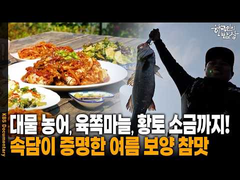 낚시 베테랑 부모 제치고 히트 친 딸 덕분에 벌어진 선상 <strong>물회</strong> 파티 | KBS 한국인의 밥상 20260702 방송