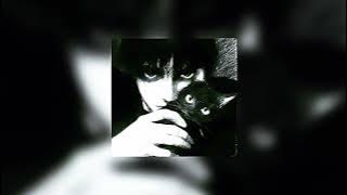 Grow a Garden Funk - SHX4 x SXYGX x FYU {Speed up   EXTENDED VERSION}