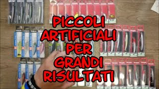 PICCOLI  ARTIFICIALI PER GRANDI RISULTATI