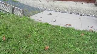 20190910 2 Garten-Besucher