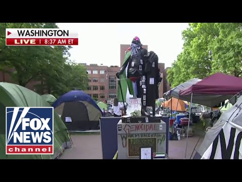 George Washington statue draped in Palestinian flag on DC campus.