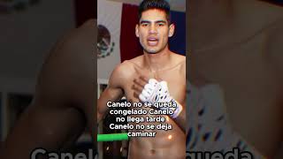Benavides vs Canelo Presión vs Inteligencia #boxeo #historiasdelcinemexicano #boxing #historia