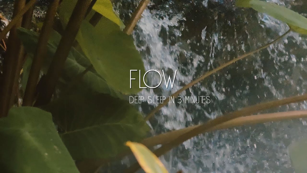 Lo-fi Chill Beats to Relax/Study To – 24/7 Radio