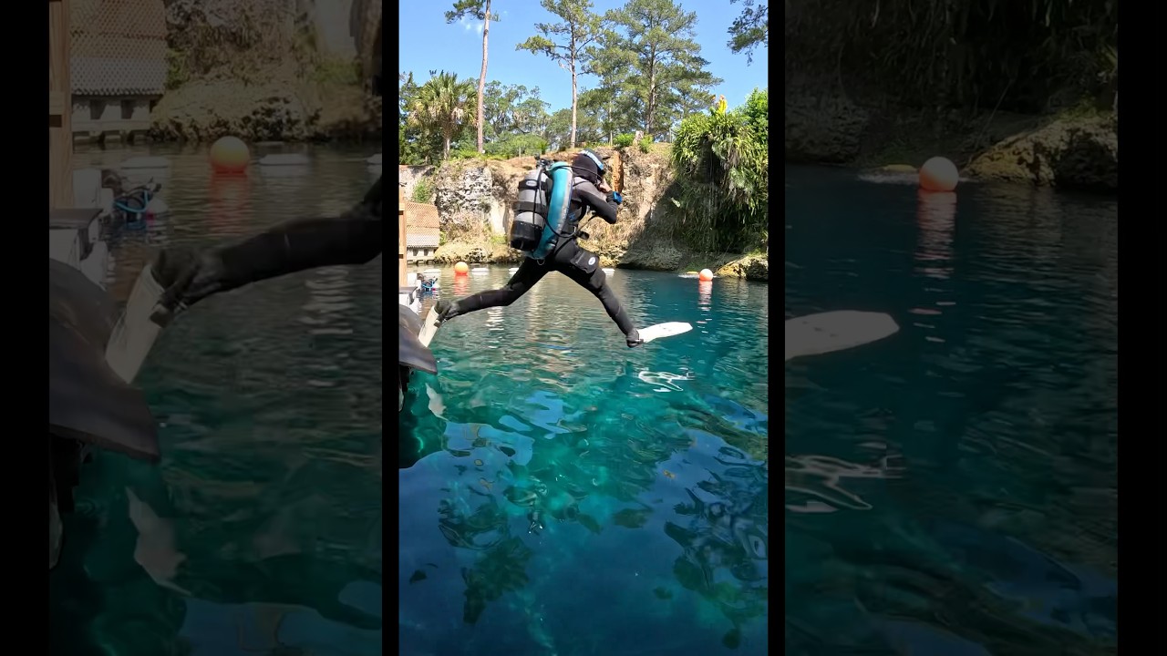 Обучать новичков дайвингу с использованием спинки и крыла вместо жилета? 