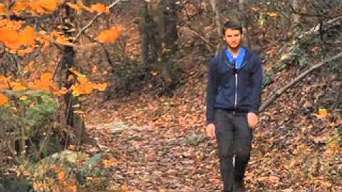 Mark Doc Deconstructued VO