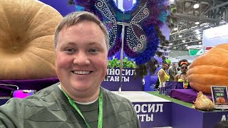 картинка: Выставка 