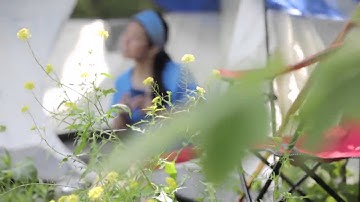 Iris: Nature Trailblazer, Systems Analyst, Technology Development Program