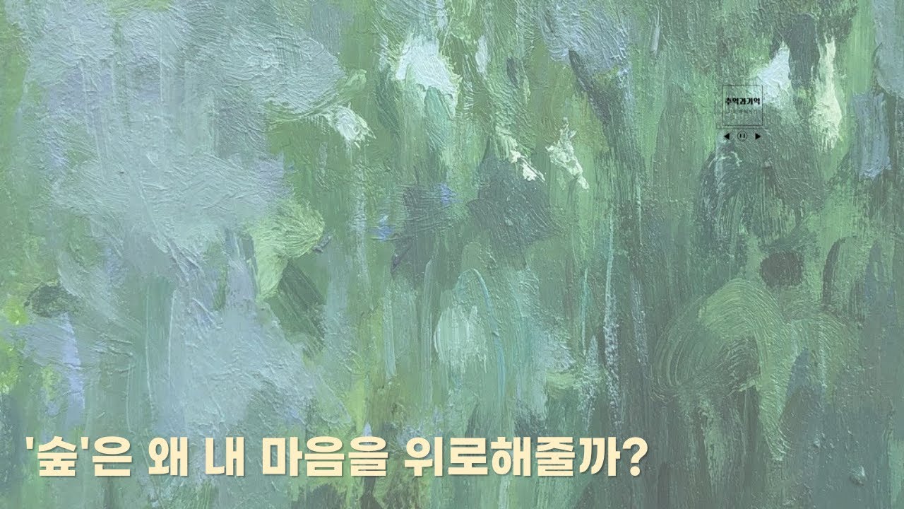 ‘숲’ 속에 숨겨진 인간관계의 날카로운 진실. 최유리 숲 가사 해석