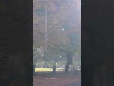 Autumn whispers its arrival at the campus of Rappahannock Community College