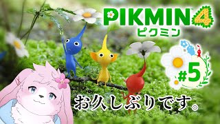 【ピクミン4】 お久しぶりです。 【#ケモノVtuber】