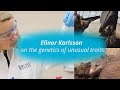 Elinor Karlsson on the genetics of unusual traits