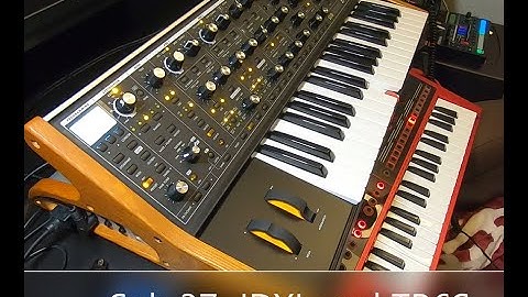 Moog Sub 37,  Roland JDXI Sequencer, and Roland TR6S