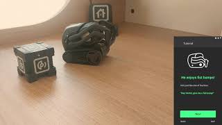 Anki Vector - Onboarding UI Concepts