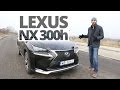 Lexus NX 300h 2.5 Hybrid 197 KM, 2015 - test AutoCentrum.pl #170