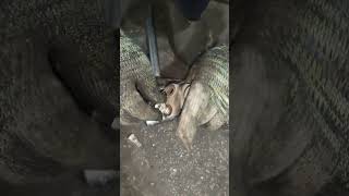 Hyundai sonata Front Ball joint replacement guide #auto #automechanic#carrepair #automotivetools 