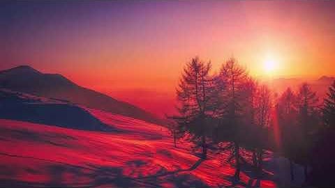 سبحان من خلق هذا الصوت تلاوة لا مثيل لها 🍃❤️HD