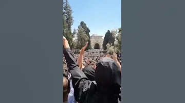 فلسطين جنة جنة تسلم يا وطنا سوريا 