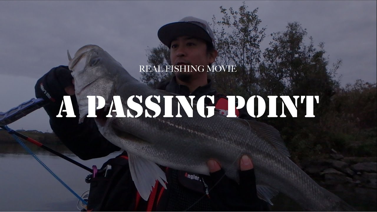 A PASSING POINT  vol.1　福井 / シーバス / ウェーディング