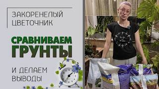 Все ли грунты одинаково полезны? Обзор универсальных грунтов для комнатных растений