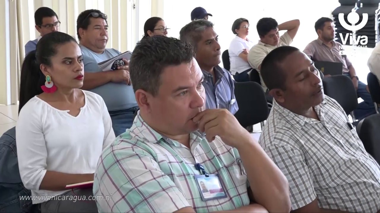 canal 13 fugitiva INTA fortalece capacidades en producción de café y cacao