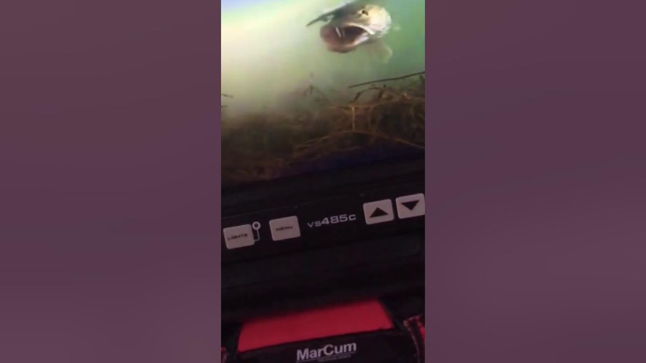 Marcum 485c underwater ice fishing camera YouTube