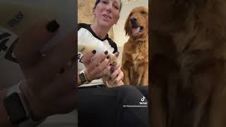 Surrogate dog mom loves the help! by 4E Kennels  156 views 10 months ago 1 minute, 3 seconds