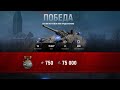 Победа по лайту! В бой на Ваффентрагер Е110. WoT