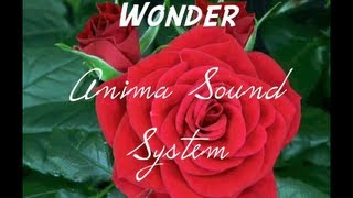 Anima Sound System Acordes