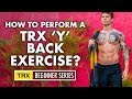 TRX exercise for back and shoulders (correct technique)