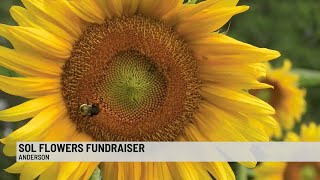 SOL Flowers "Good for the Soul" Festival and Fundraiser
