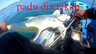 #73 tengah syok layan jig, trolling kene sapu #langfishing#mag#mkf#kayak fishing malaysia