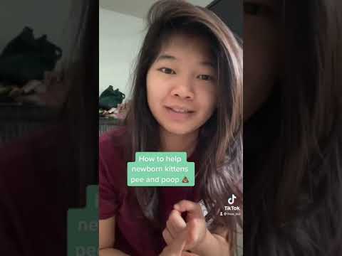 How to help