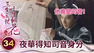 煩死了！淺淺藏了7萬年的馬甲 就這樣被離鏡揭露出來！【三生三世十里桃花】精華 EP34-5 楊冪、趙又廷、迪麗熱巴、高偉光、張智堯 @ctvdrama_classic