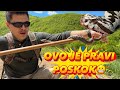 Influenser iz BiH uhvatio poskoka rukama: "Najopasnija zmija u Evropi" (VIDEO)