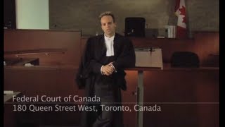 Does Canada Still Need Immigrants? What Is Our Role?