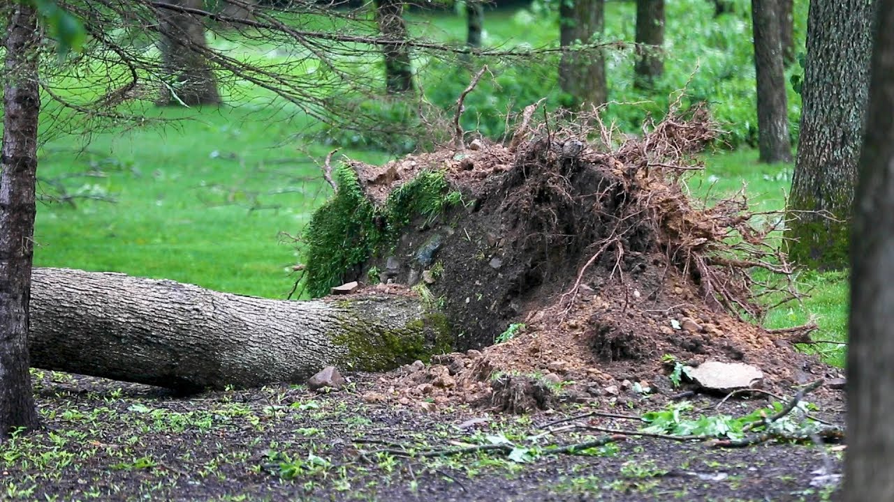 storm Possible tornado leaves a path of damage in New Jersey