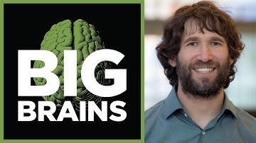 What Ripples in Space-Time Tell Us About the Universe with Daniel Holz (Ep. 17) - Big Brains Podcast