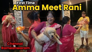 FINALLY Amma Met Rani Dog Vomited | 500Km Car Drive | Mom CriedTata HarrierTamil Vlog Tuberbasss