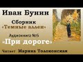 Аудиокнига. Иван Бунин. Сборник "Темные аллеи". Рассказ №05  "При дороге"