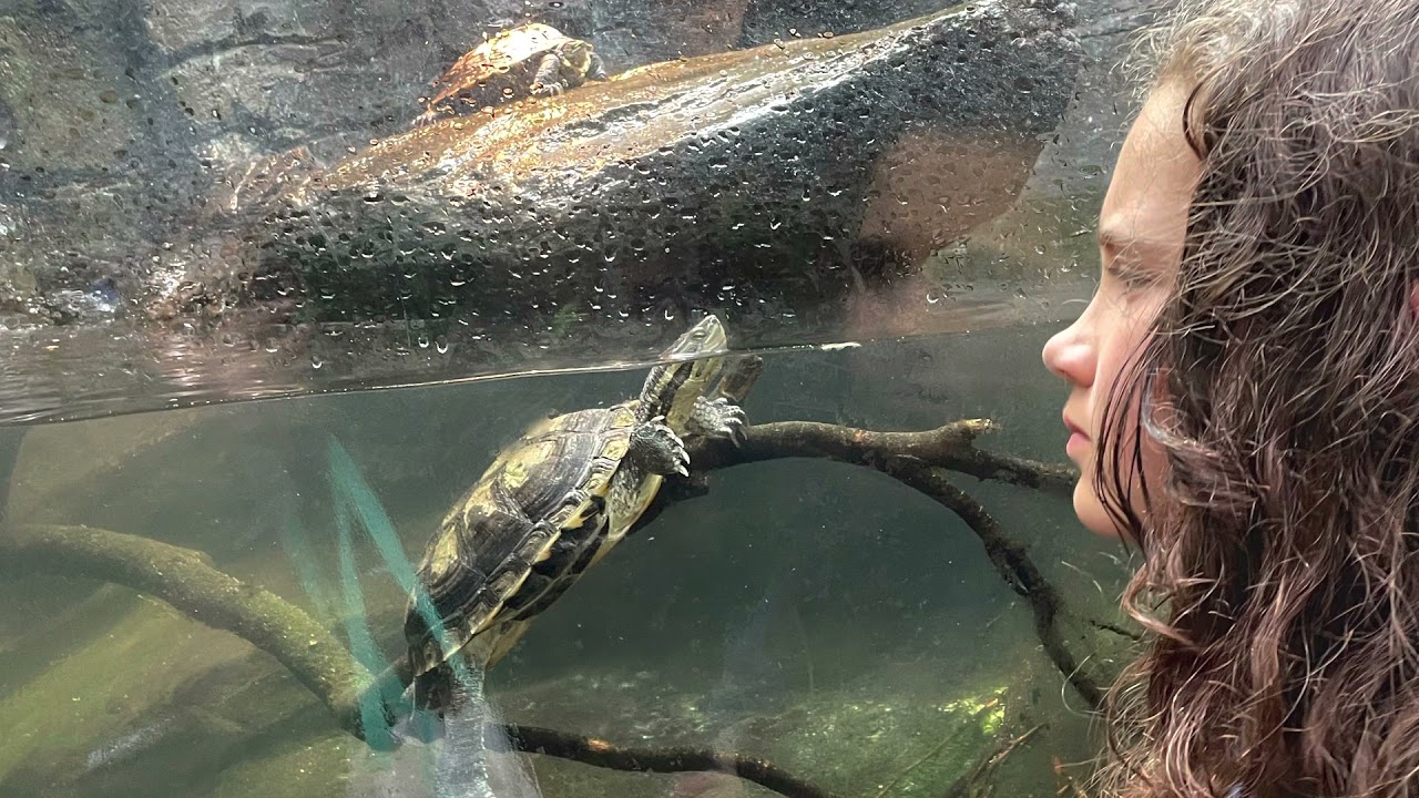 Paignton Zoo July 2021