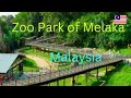 Zoo park of melaka things to do in malaysiamalaysia kuala lampur