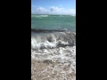 Акула на пляже Майами Бич 17.11.2015
