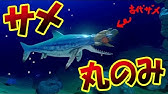 海の生物を食べて魚を育てるサバイバルアクションゲーム 魚の世界は弱肉強食 チャンネルページはこちら Www Youtube Com Channel Uc4bsjdi2rtnsld1 M Lio0w Sub Confirmation 1 Twitterはじめましたよ Twit