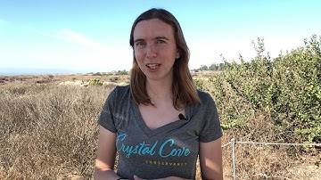 Module 4 Hypothesis Video 4